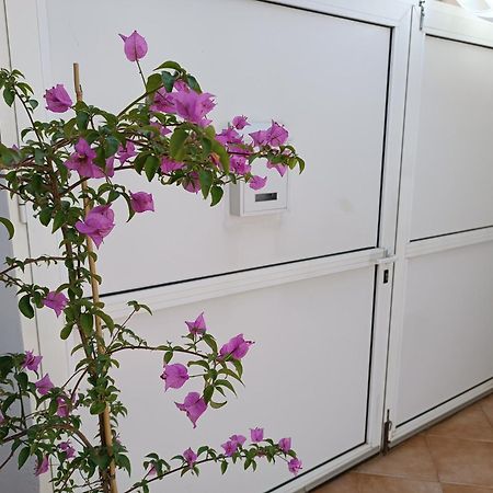 Apartman Dani Zadar Zewnętrze zdjęcie