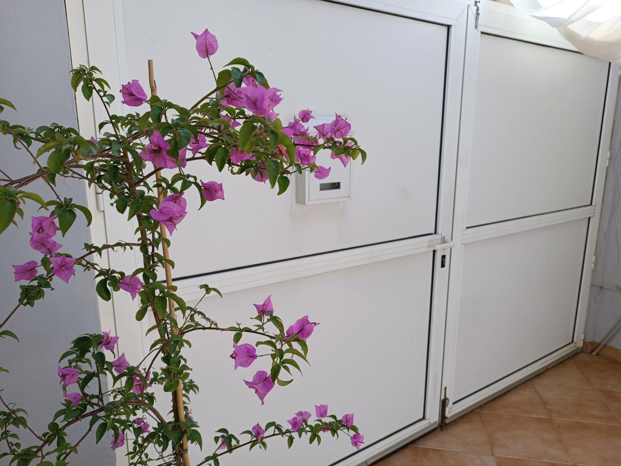 Apartman Dani Zadar Zewnętrze zdjęcie